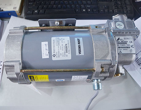 Inside Fuel Dispenser Cast Iron Tokheim Hengshan Gear Pump